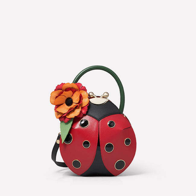 Tema Coccinella | 8052991228019 - Braccialini Official Online Shop