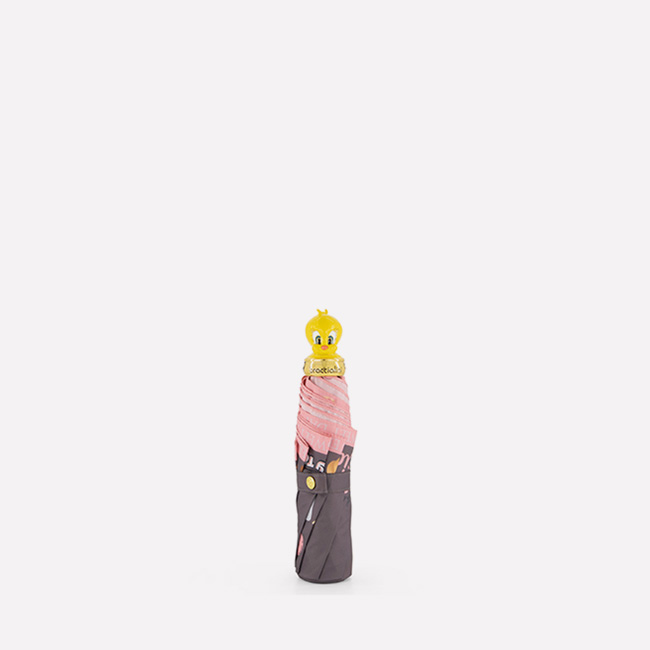 Amy LT